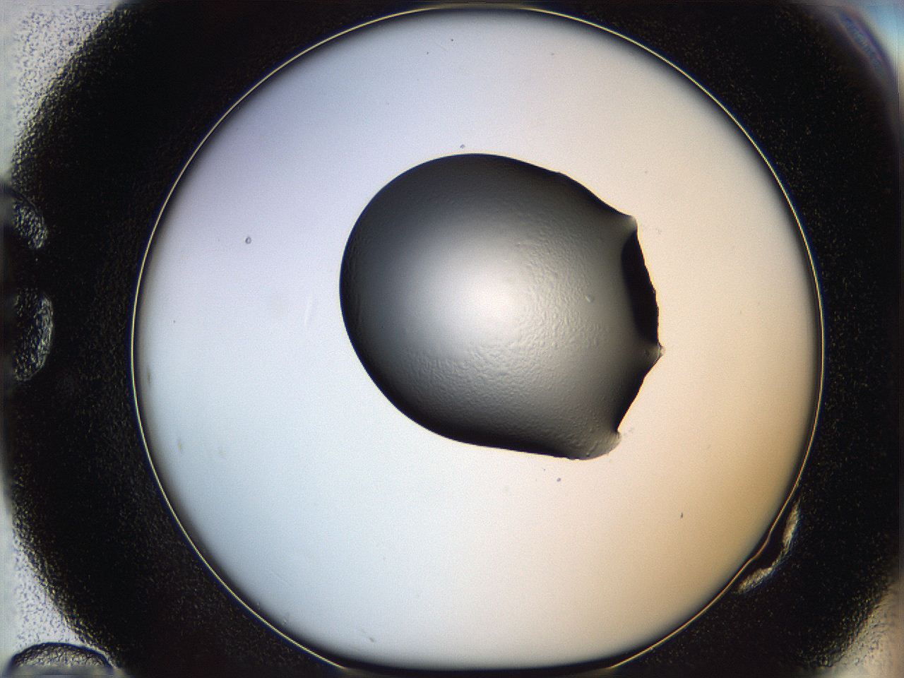 064h_G10_ImagerDefaults_0.jpg