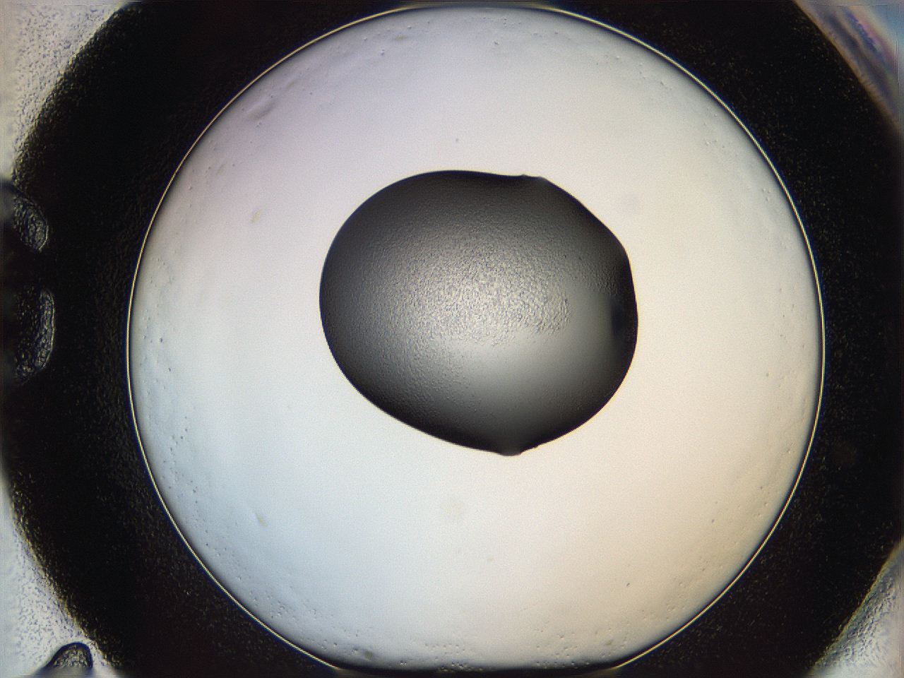 064h_G11_ImagerDefaults_5.jpg