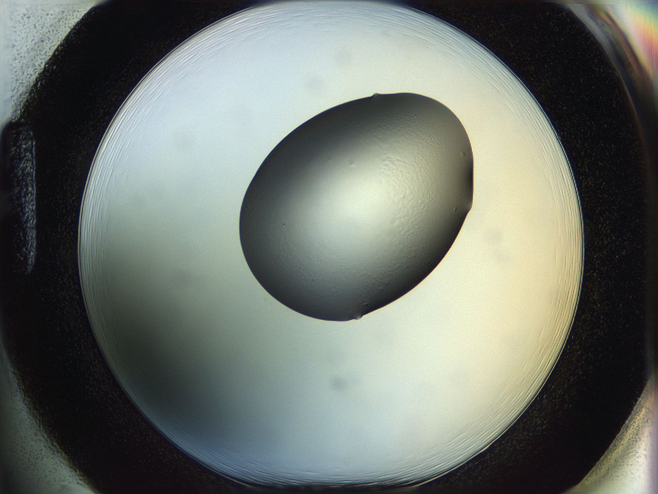 064h_H1_ImagerDefaults_0.jpg