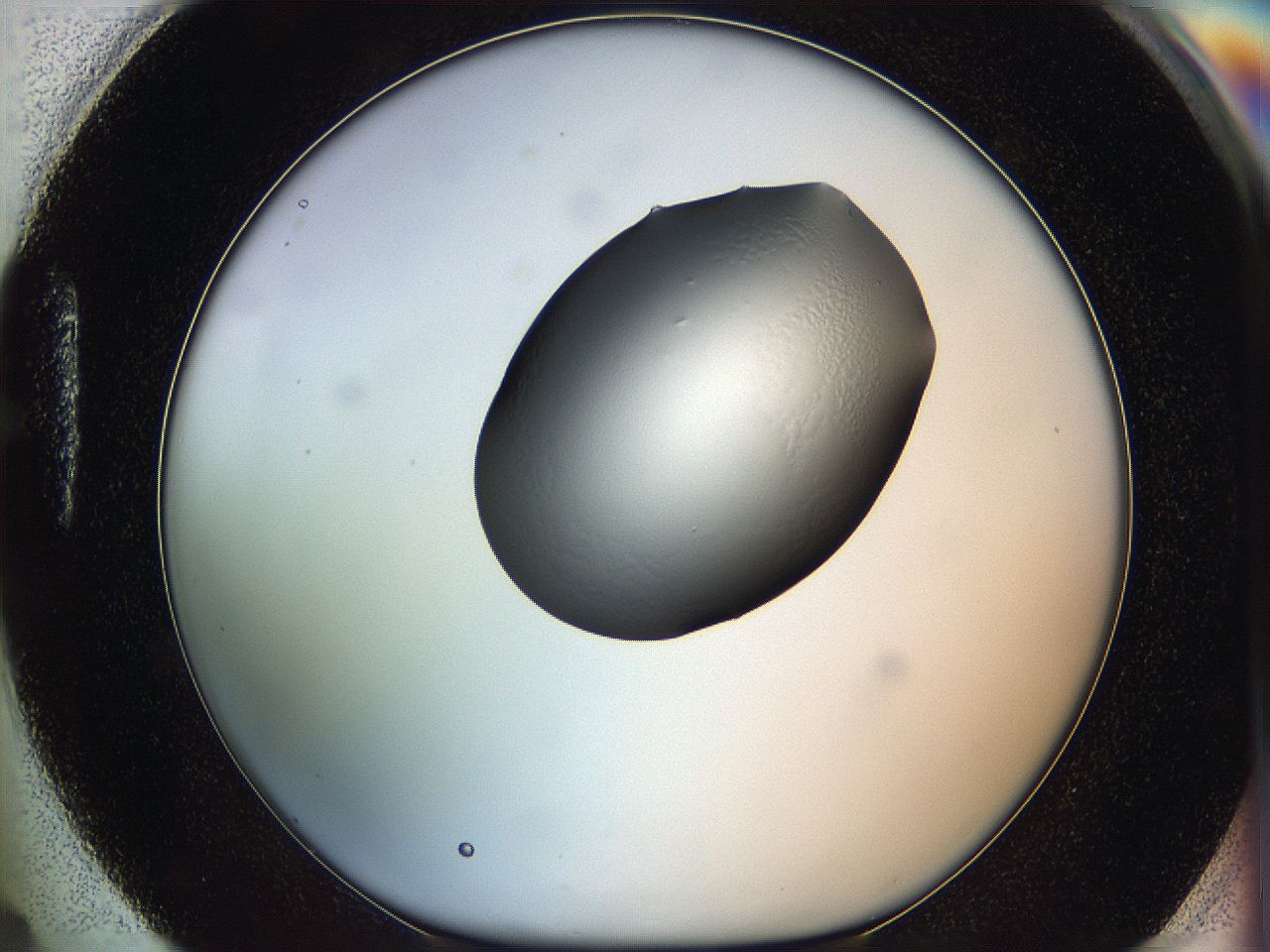 064h_H4_ImagerDefaults_0.jpg