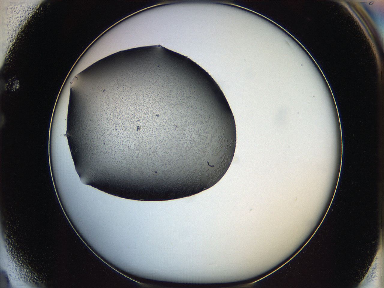 064s_F4_ImagerDefaults_6.jpg