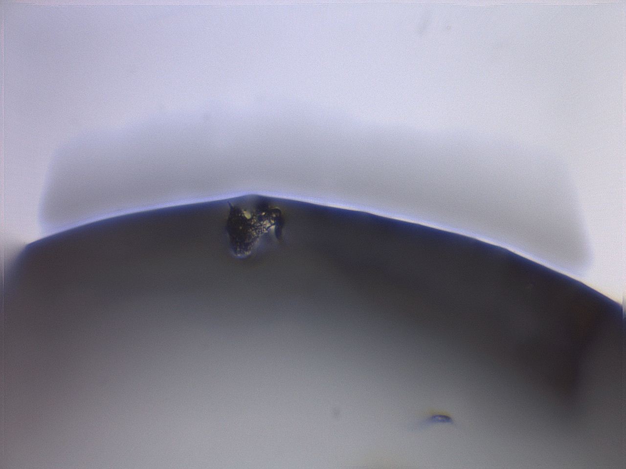 064s_F7_ImagerDefaults_6.jpg