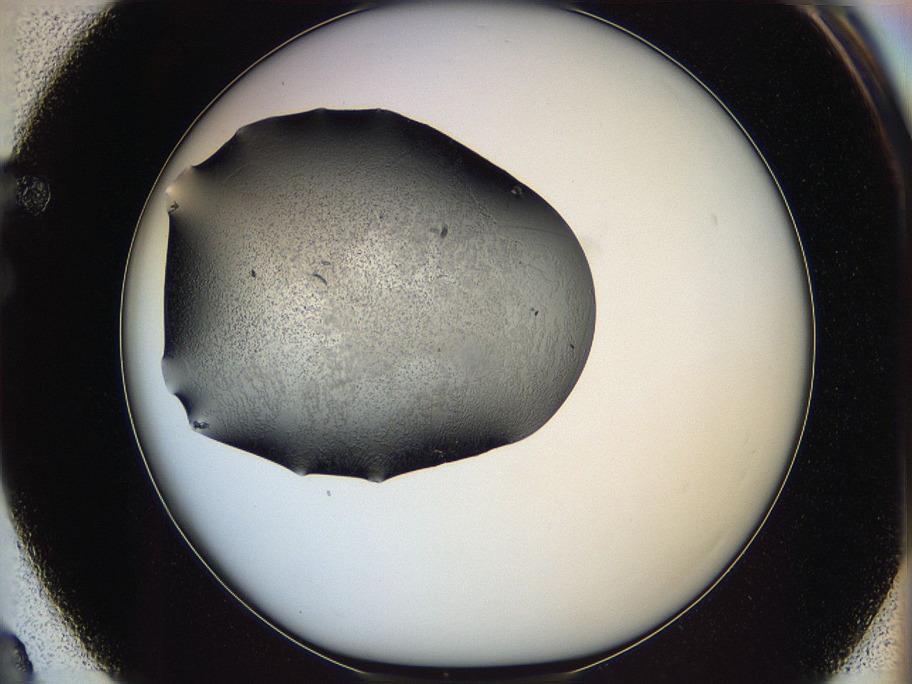064s_F3_ImagerDefaults_6.jpg