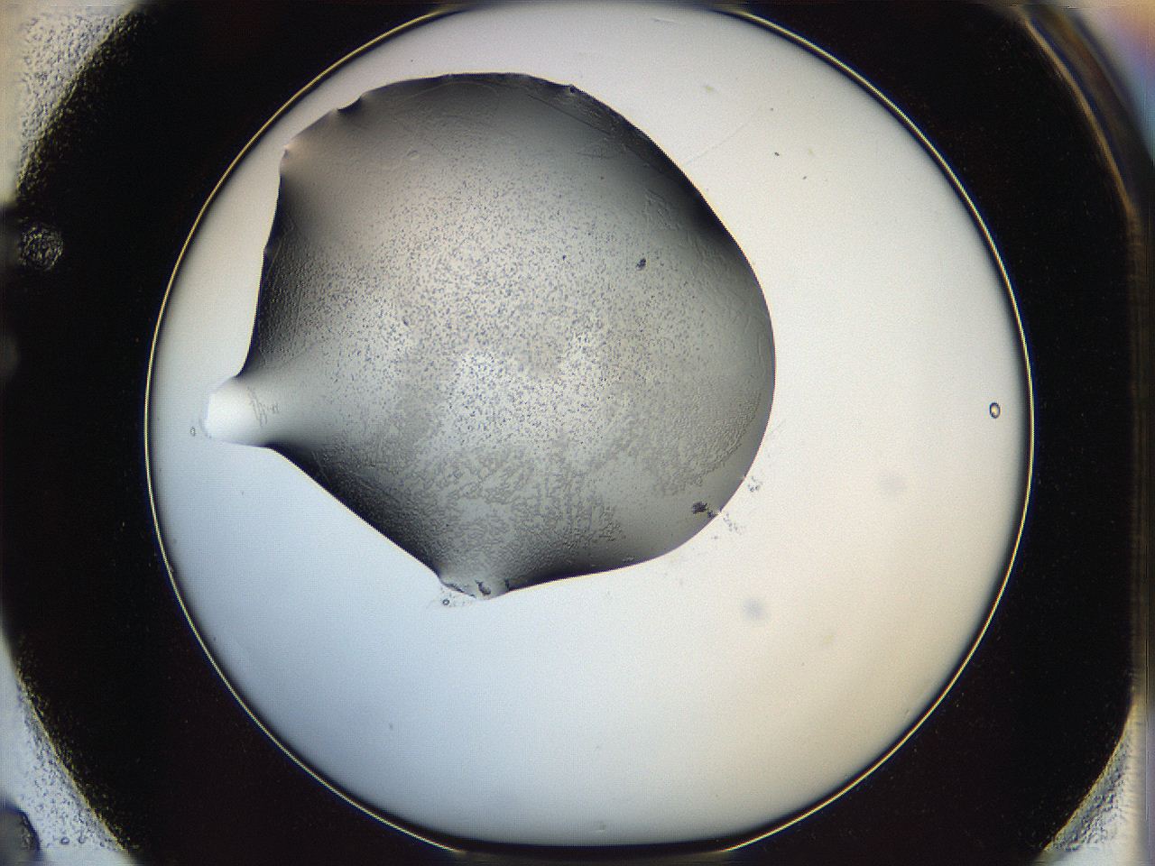 064s_F2_ImagerDefaults_6.jpg