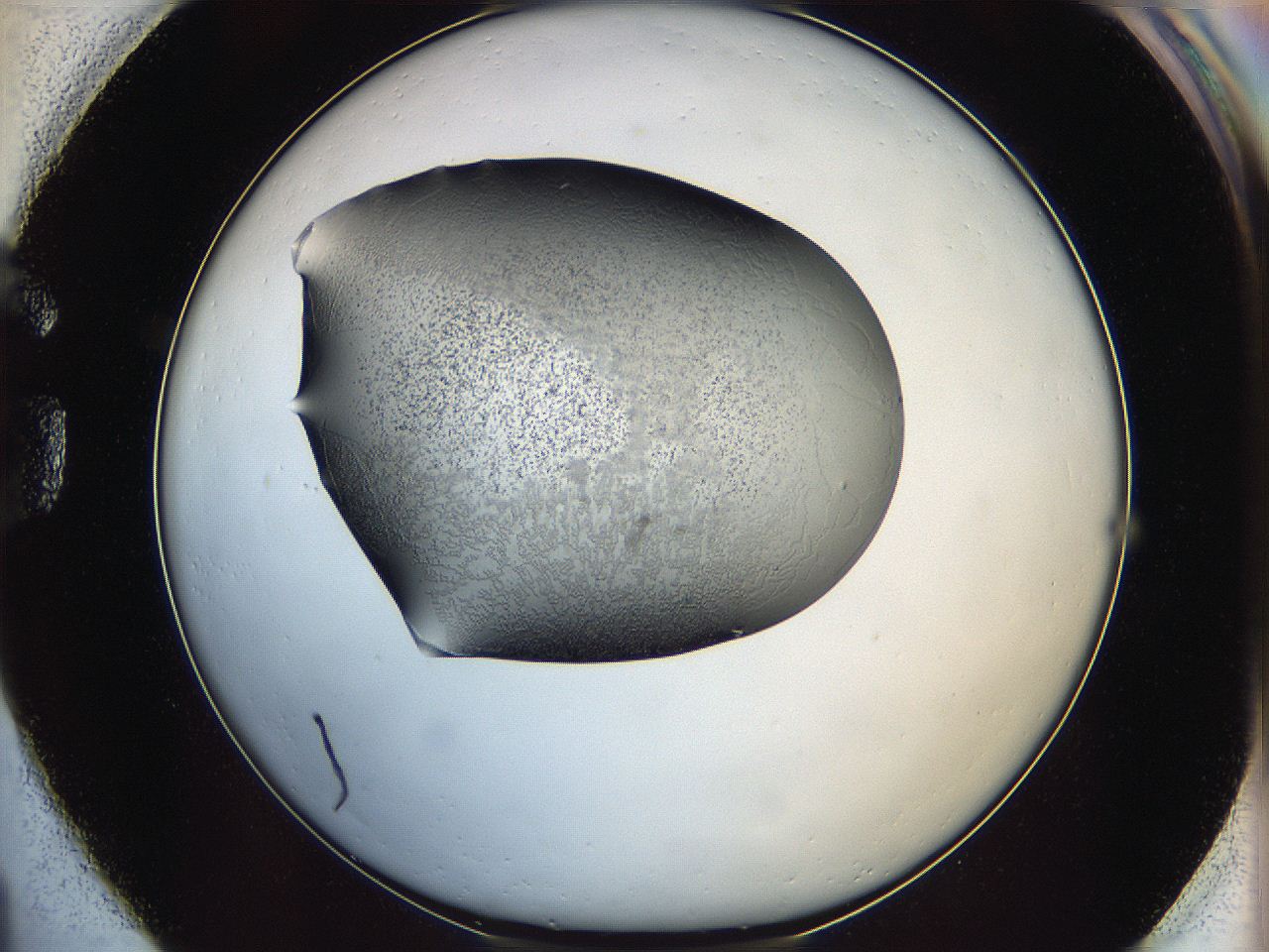 064s_G1_ImagerDefaults_6.jpg