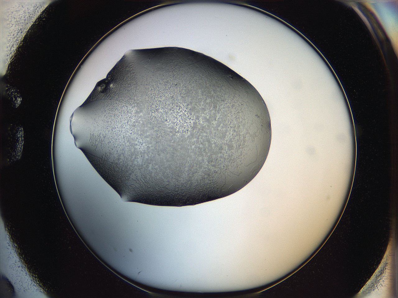 064s_G2_ImagerDefaults_6.jpg