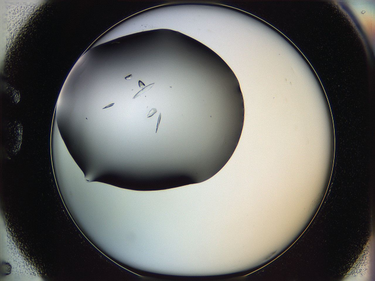 064v_G5_ImagerDefaults_9.jpg