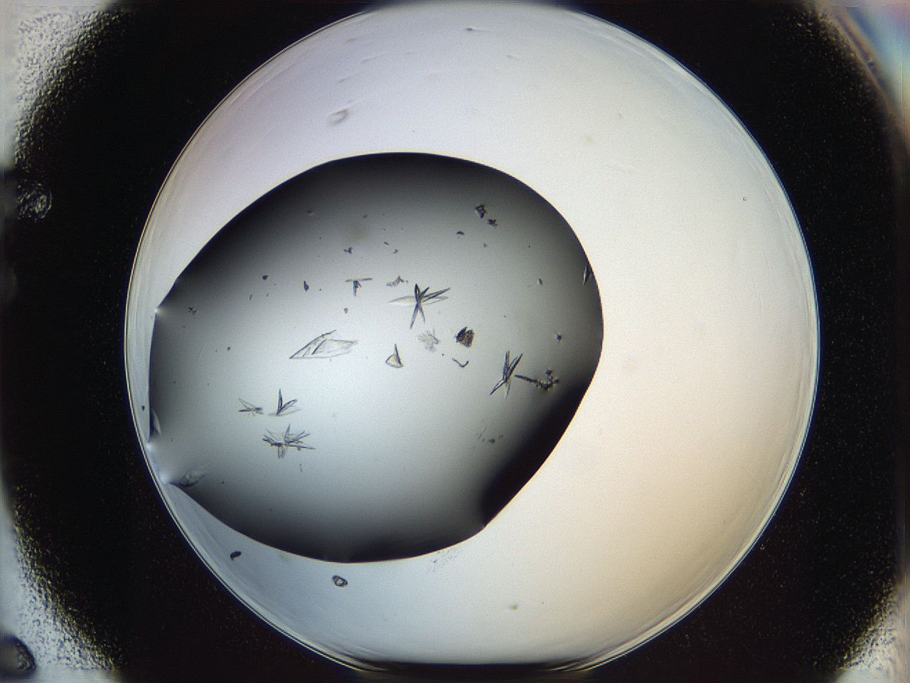 064w_F6_ImagerDefaults_8.jpg