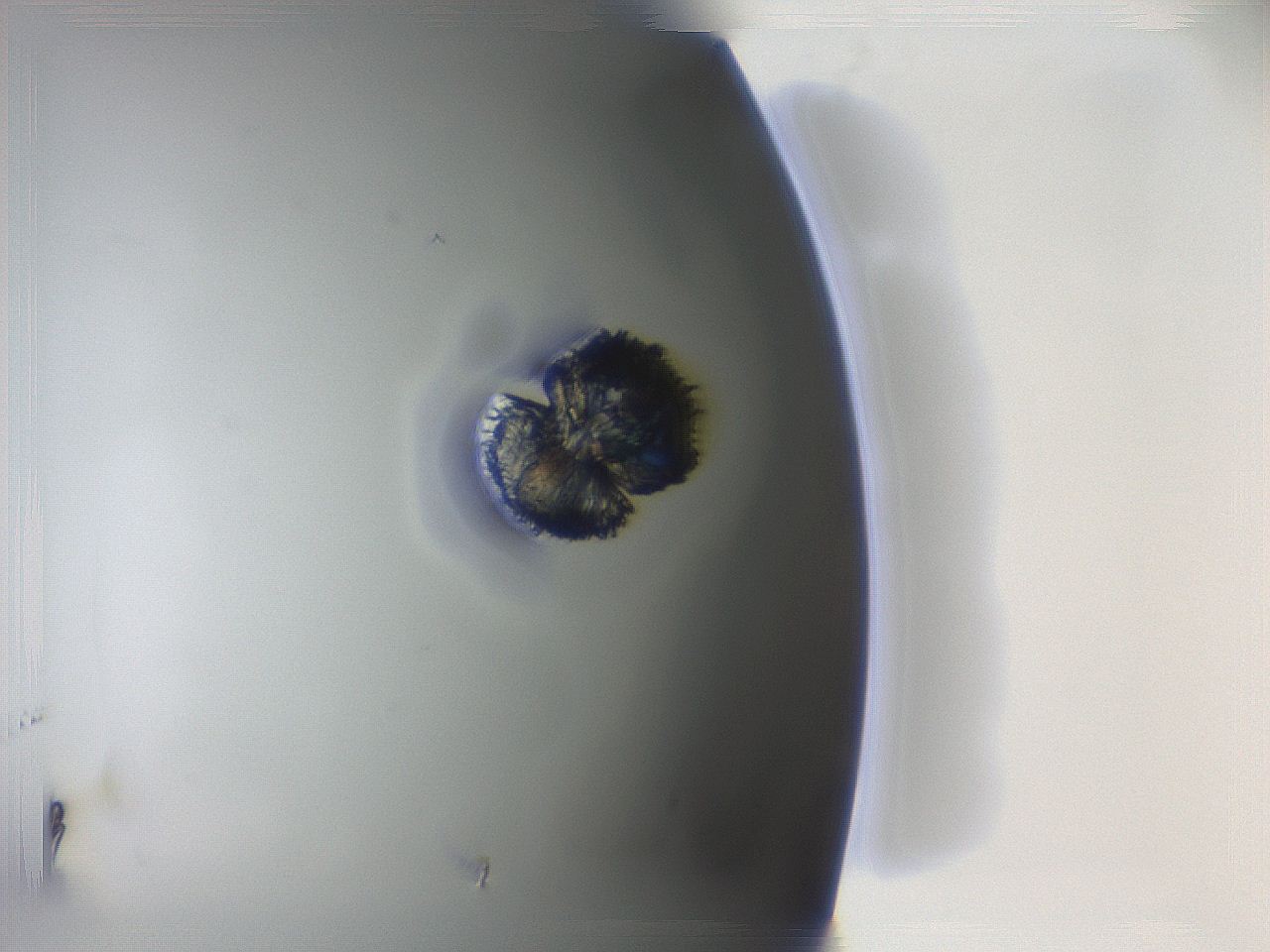 064w_G2_ImagerDefaults_8.jpg
