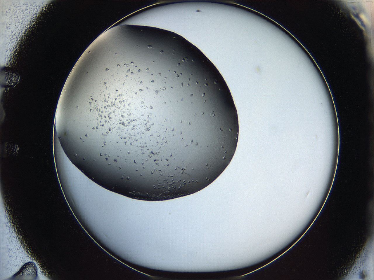 064w_E11_ImagerDefaults_7.jpg