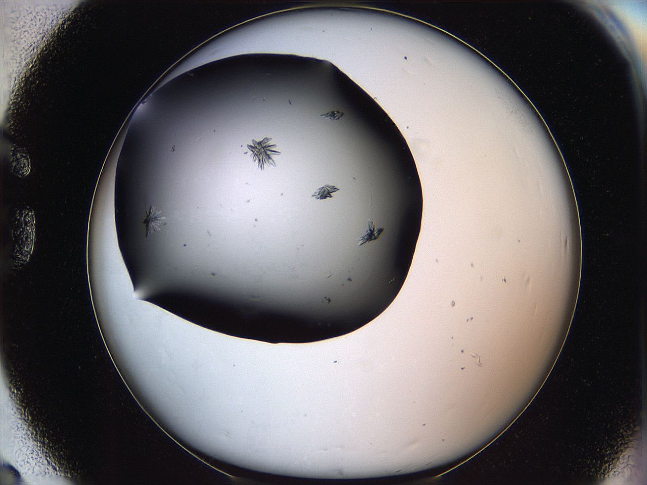 064w_G8_ImagerDefaults_7.jpg