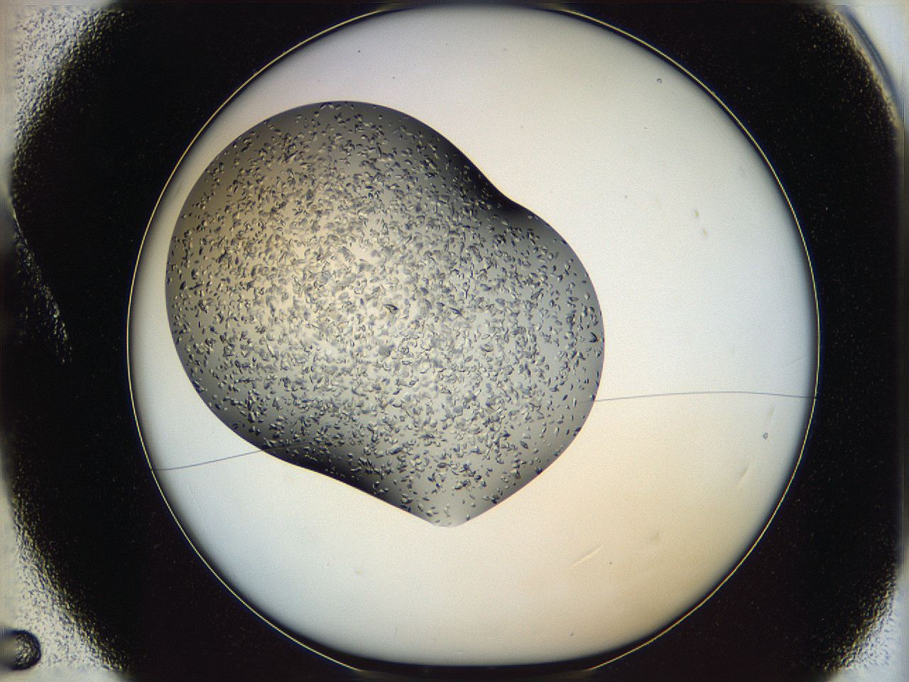 065a_A5_ImagerDefaults_9.jpg