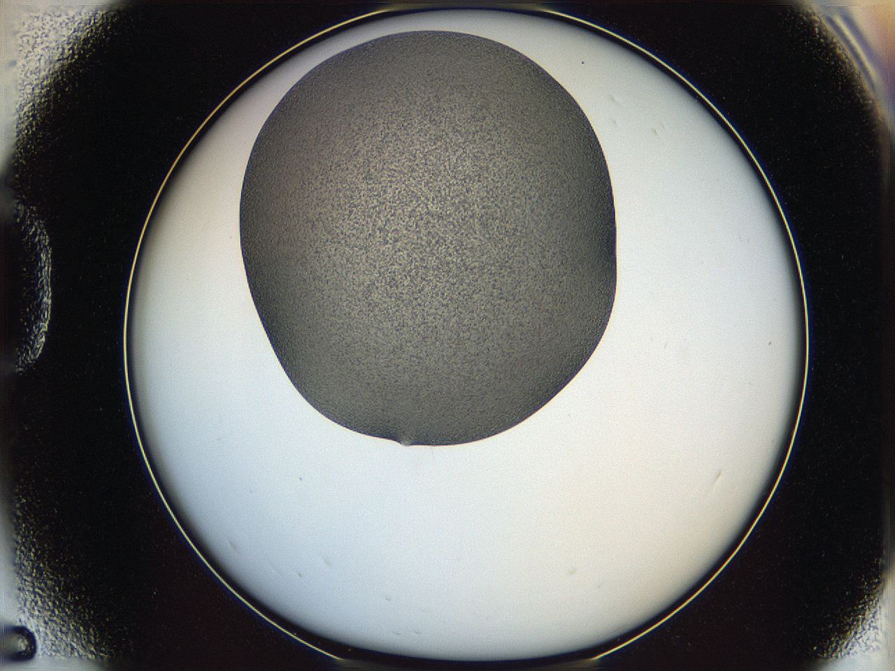 065a_D5_ImagerDefaults_6.jpg