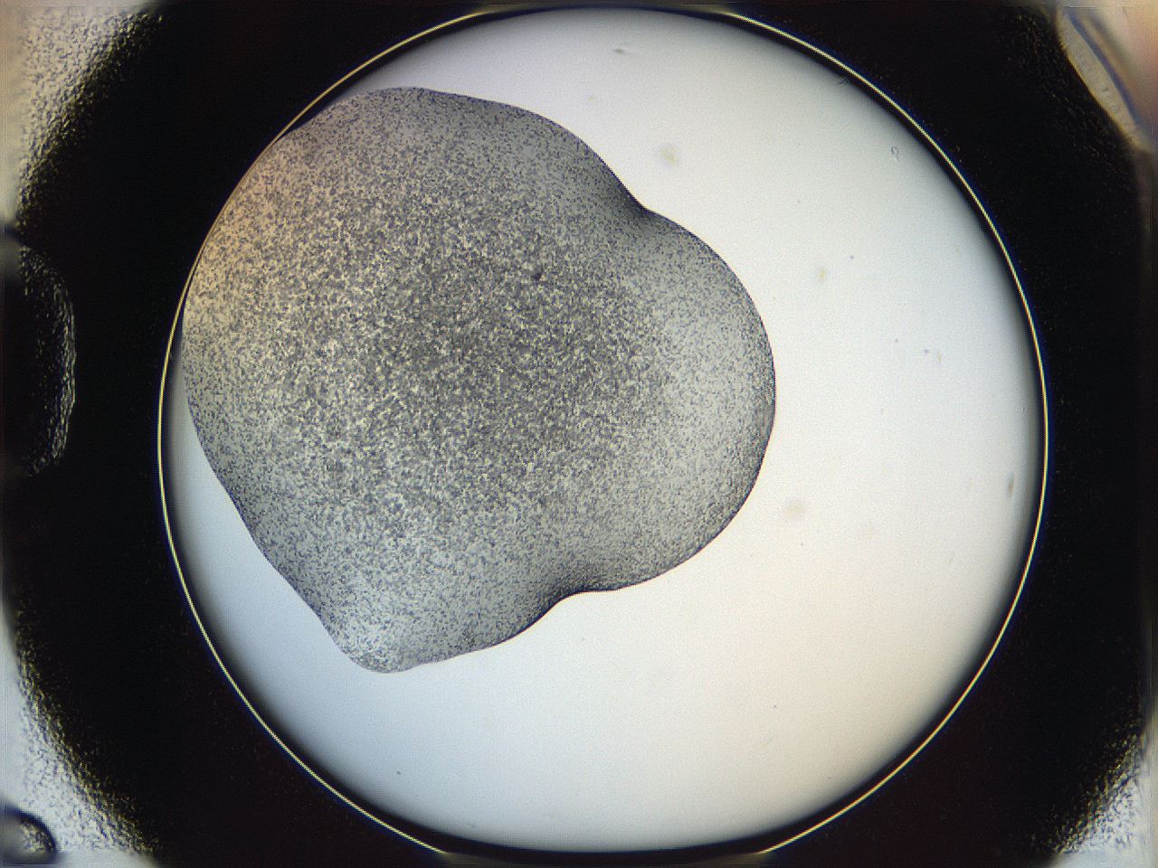 065a_D6_ImagerDefaults_6.jpg