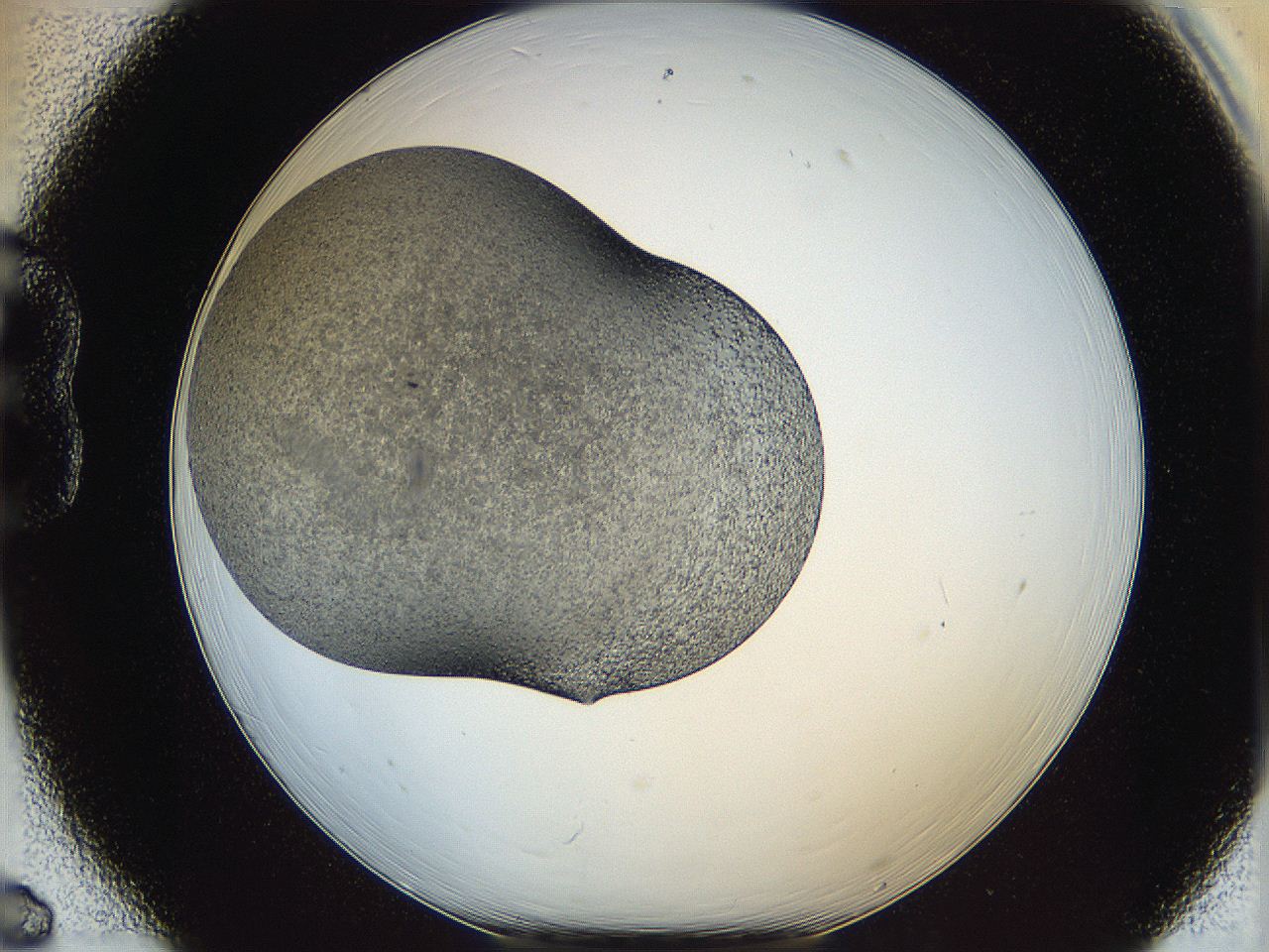 065a_B6_ImagerDefaults_7.jpg