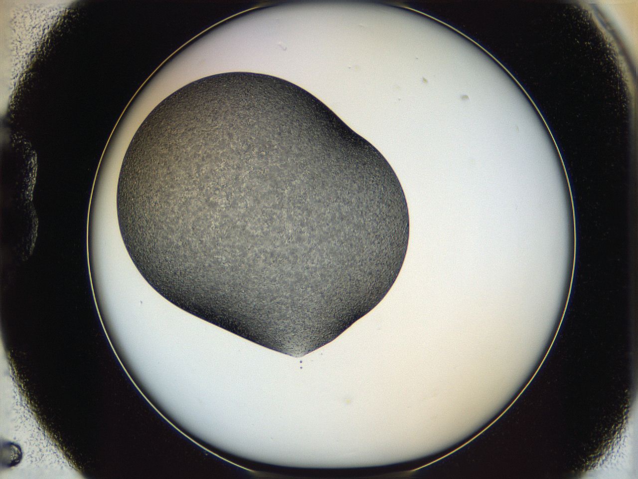 065a_B5_ImagerDefaults_7.jpg