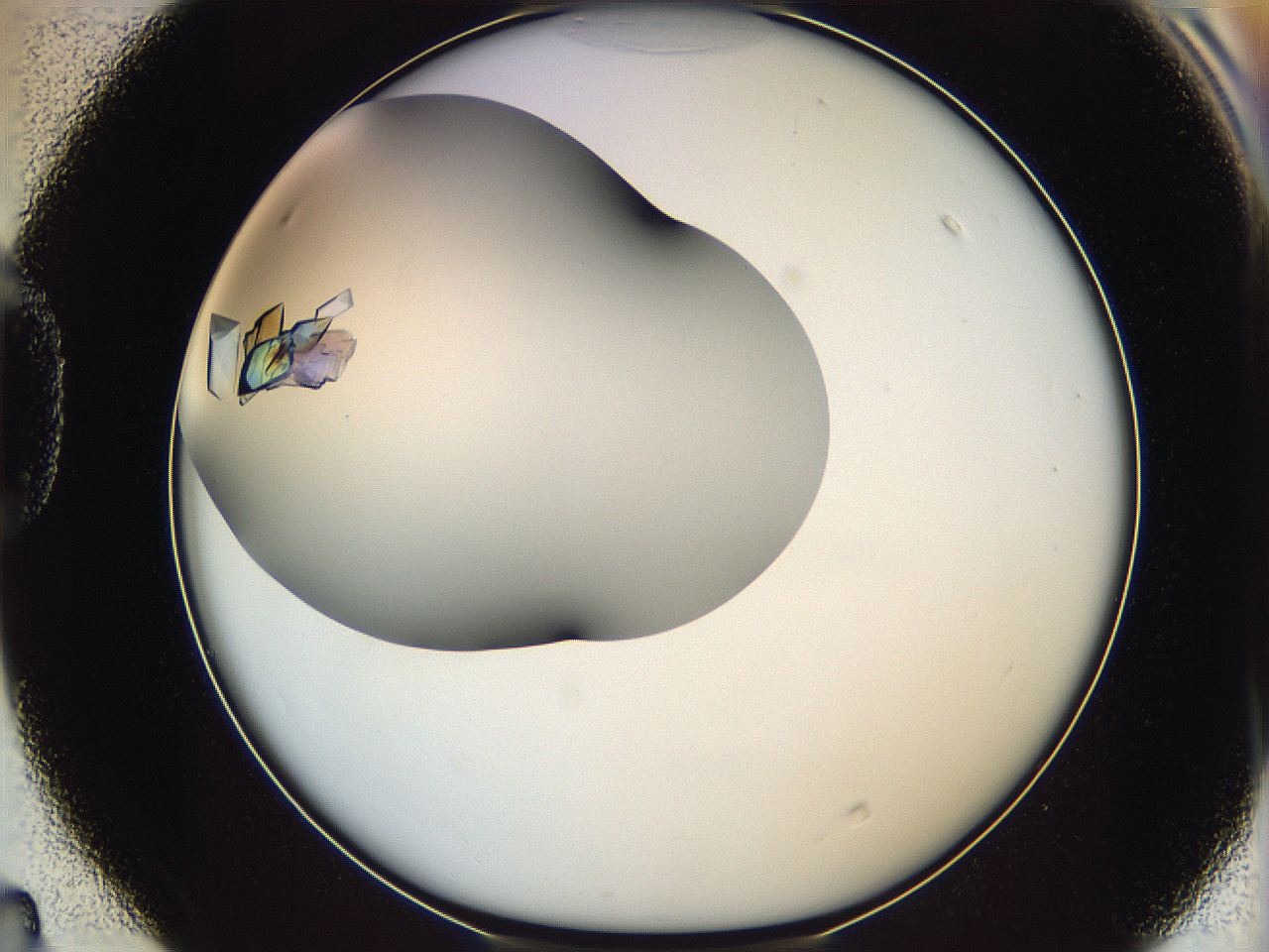 065a_D4_ImagerDefaults_9.jpg
