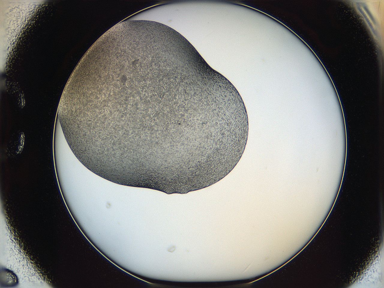 065a_C6_ImagerDefaults_7.jpg