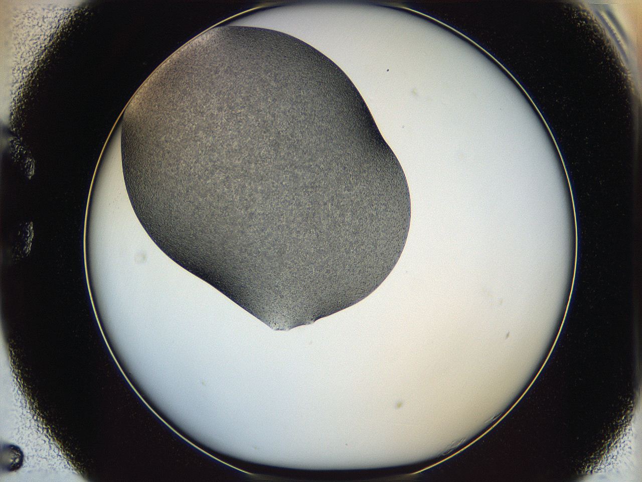 065a_C5_ImagerDefaults_6.jpg