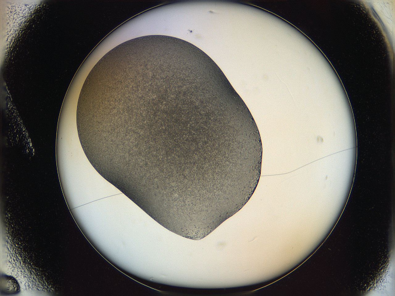 065a_A6_ImagerDefaults_7.jpg