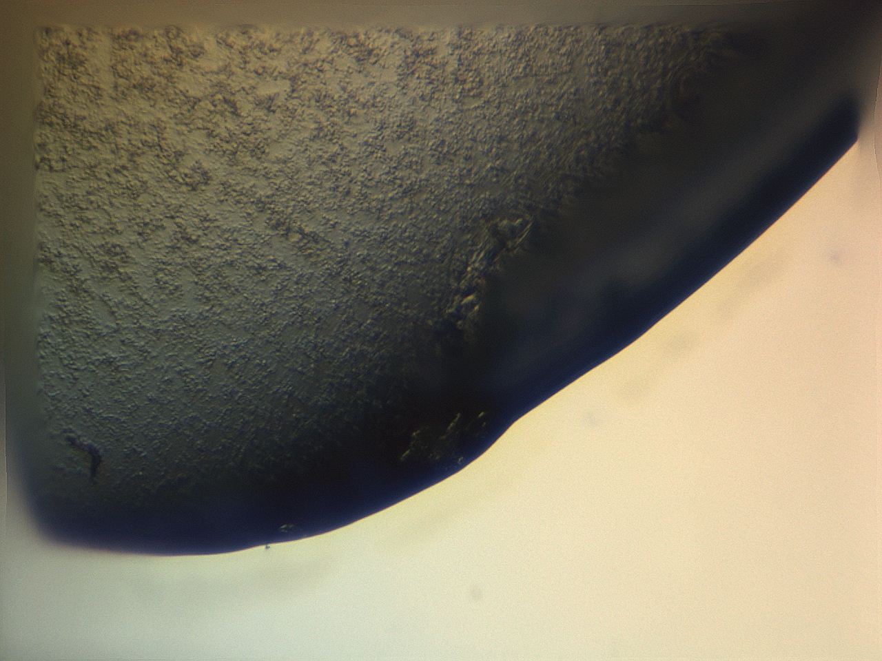 065g_A3_ImagerDefaults_3.jpg