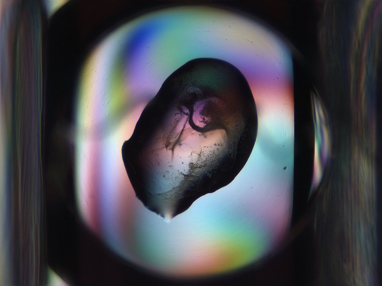 065g_C3_ImagerDefaults_3.jpg