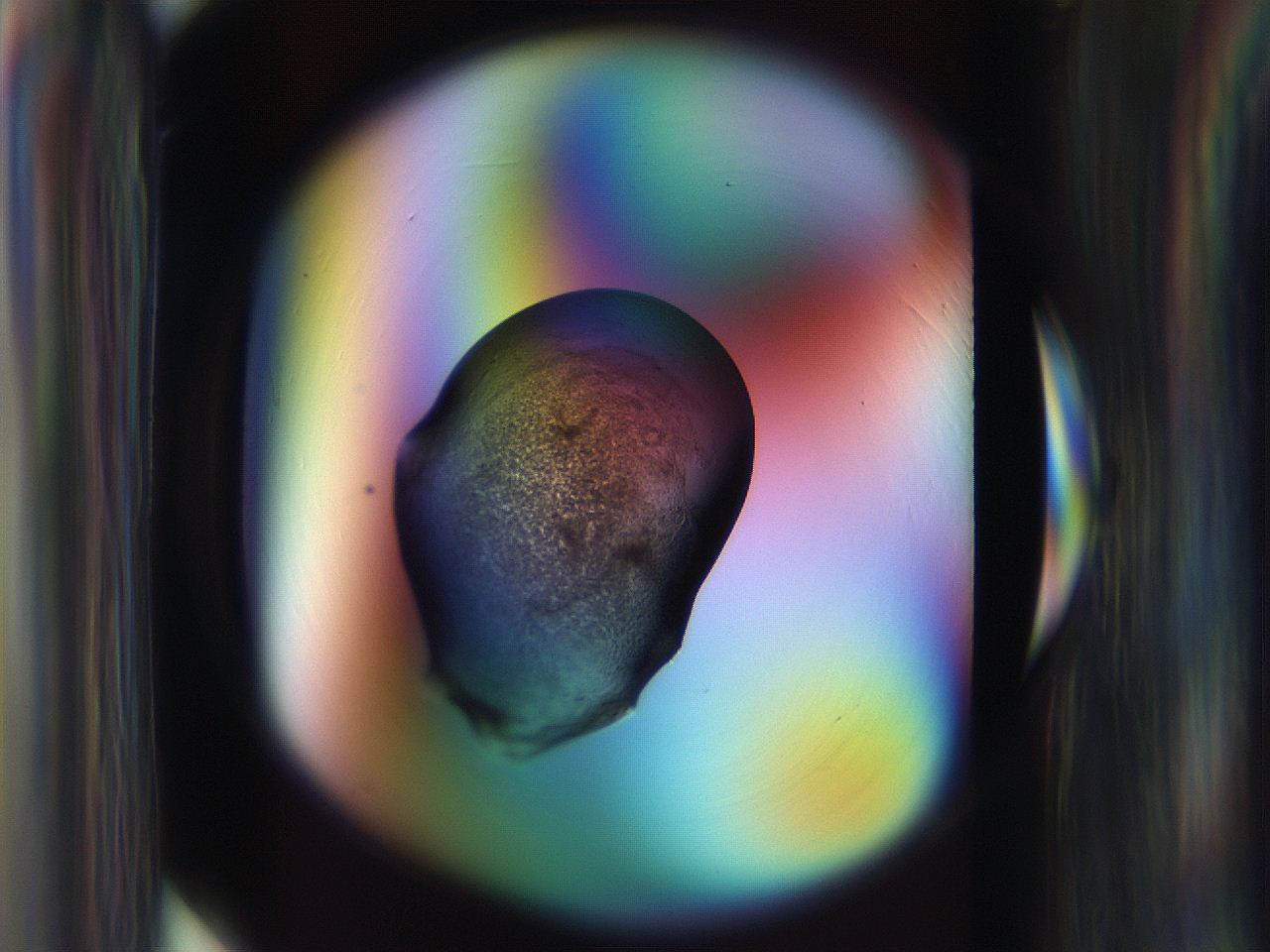 065g_C7_ImagerDefaults_3.jpg