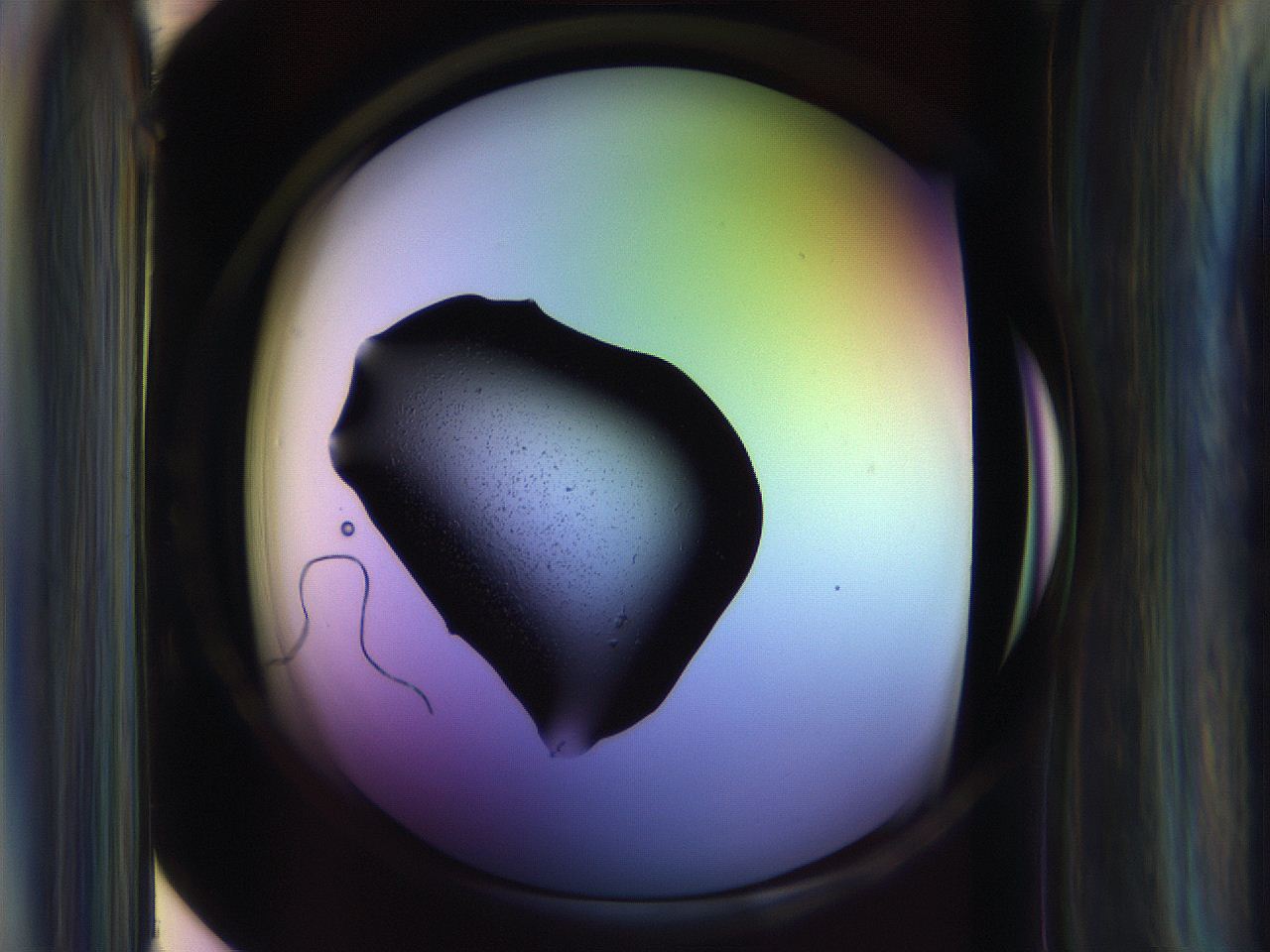 065g_D2_ImagerDefaults_3.jpg