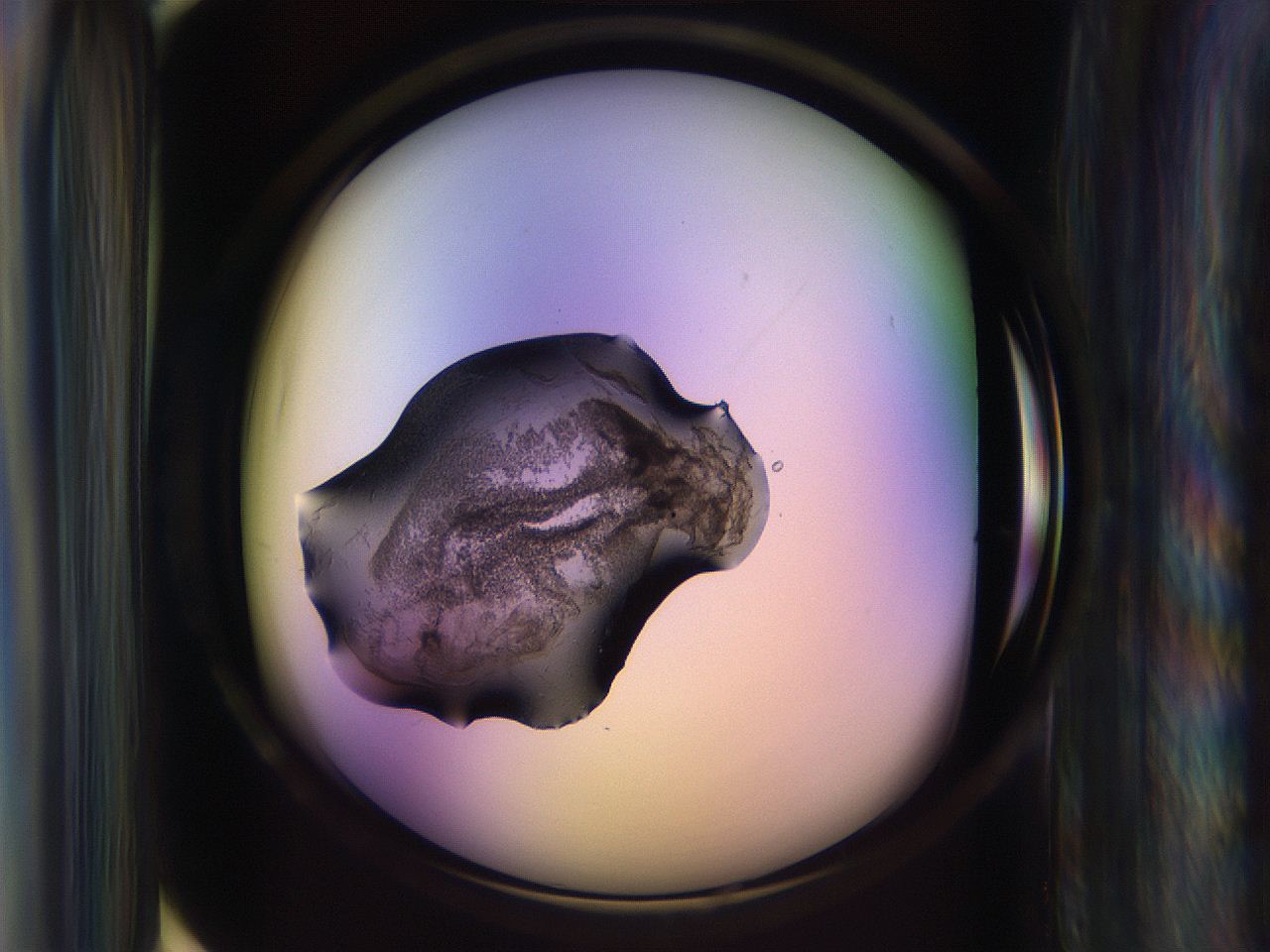 065g_D12_ImagerDefaults_3.jpg