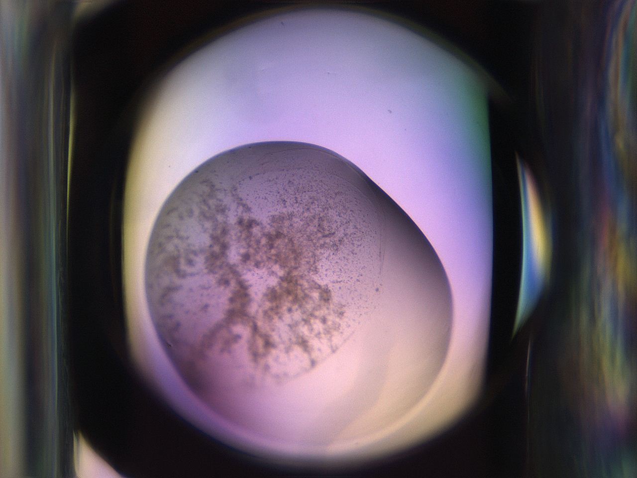 065g_E4_ImagerDefaults_3.jpg