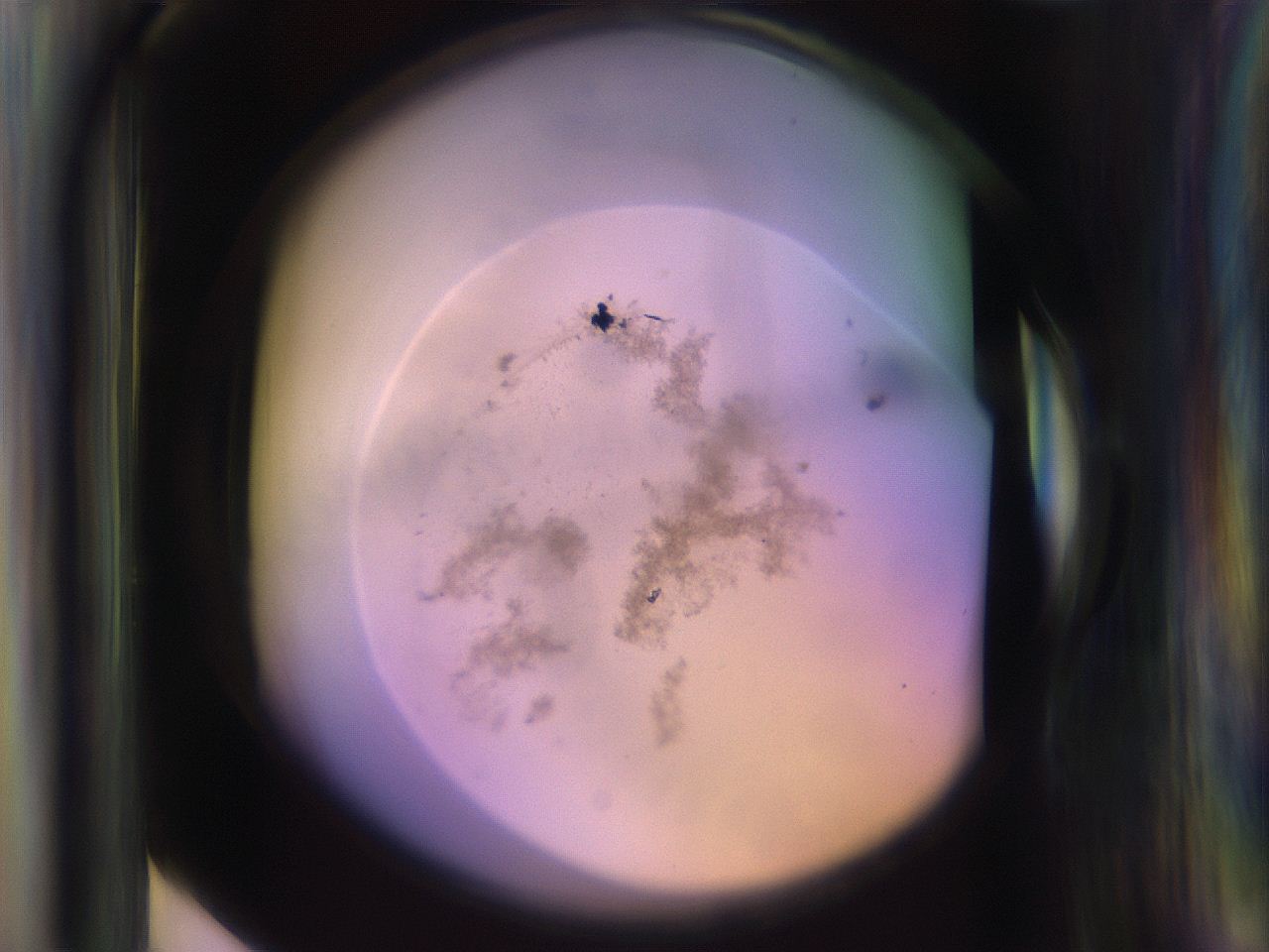 065g_F6_ImagerDefaults_3.jpg