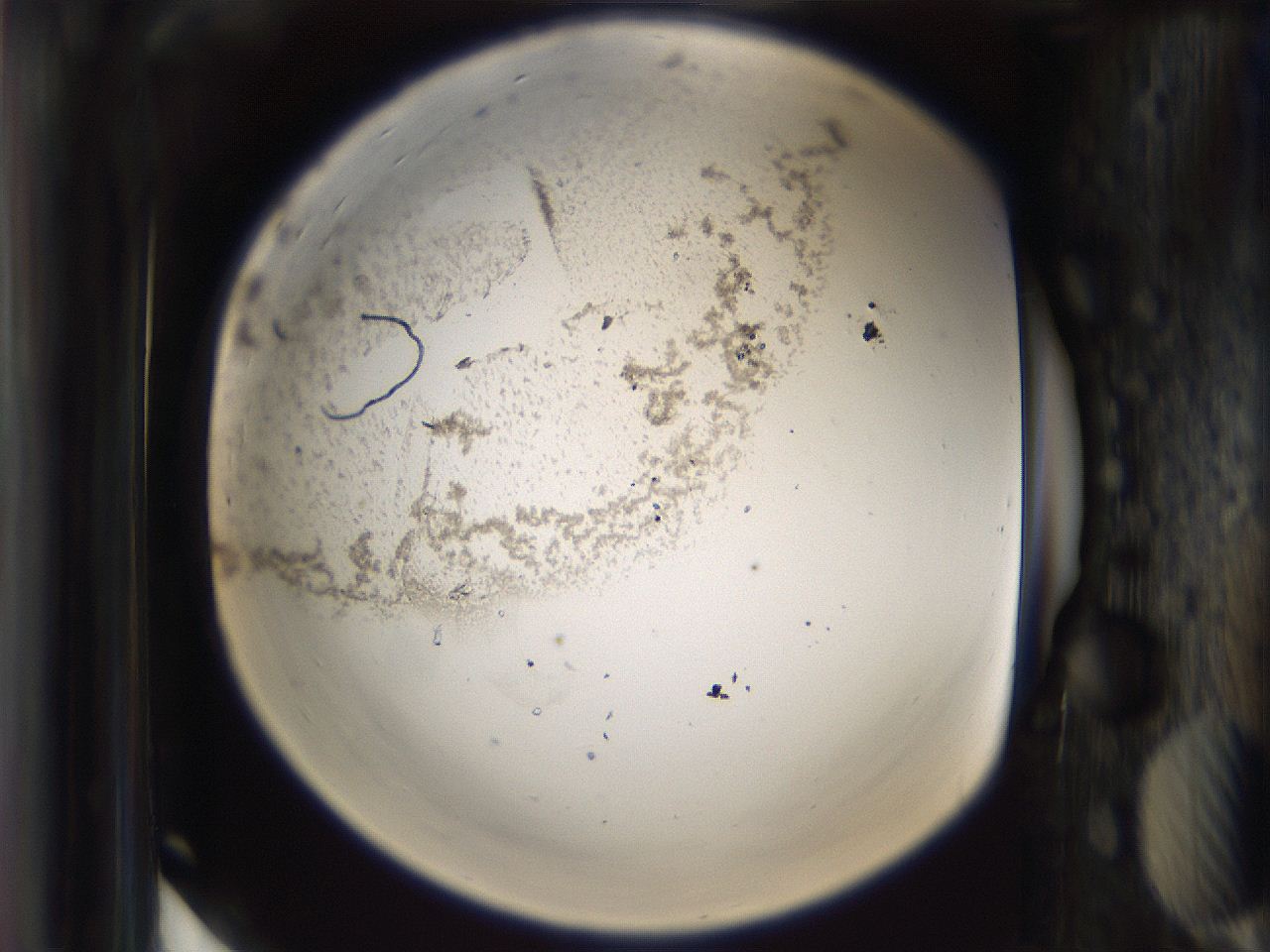 065g_H5_ImagerDefaults_3.jpg