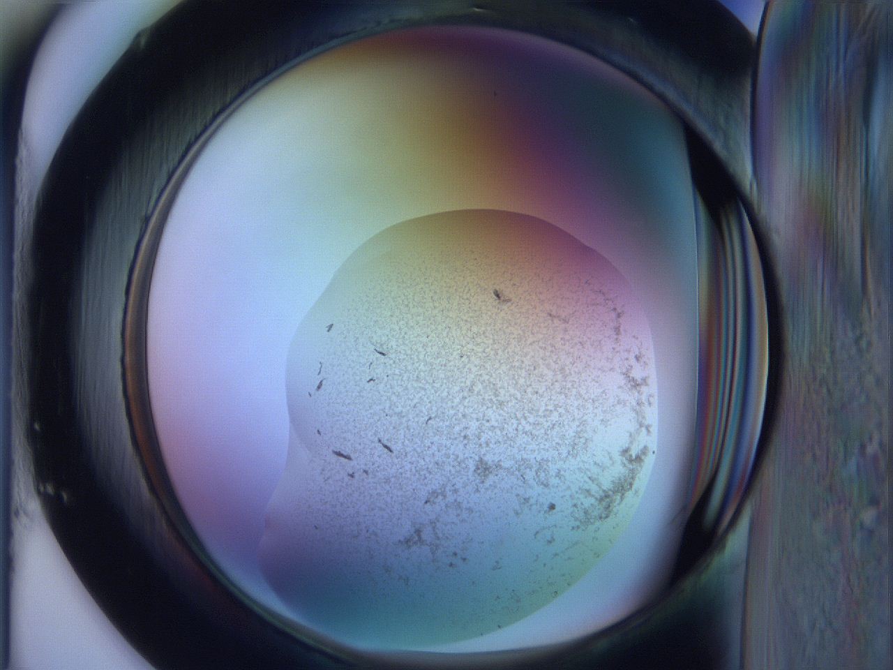065h_E1_ImagerDefaults_3.jpg