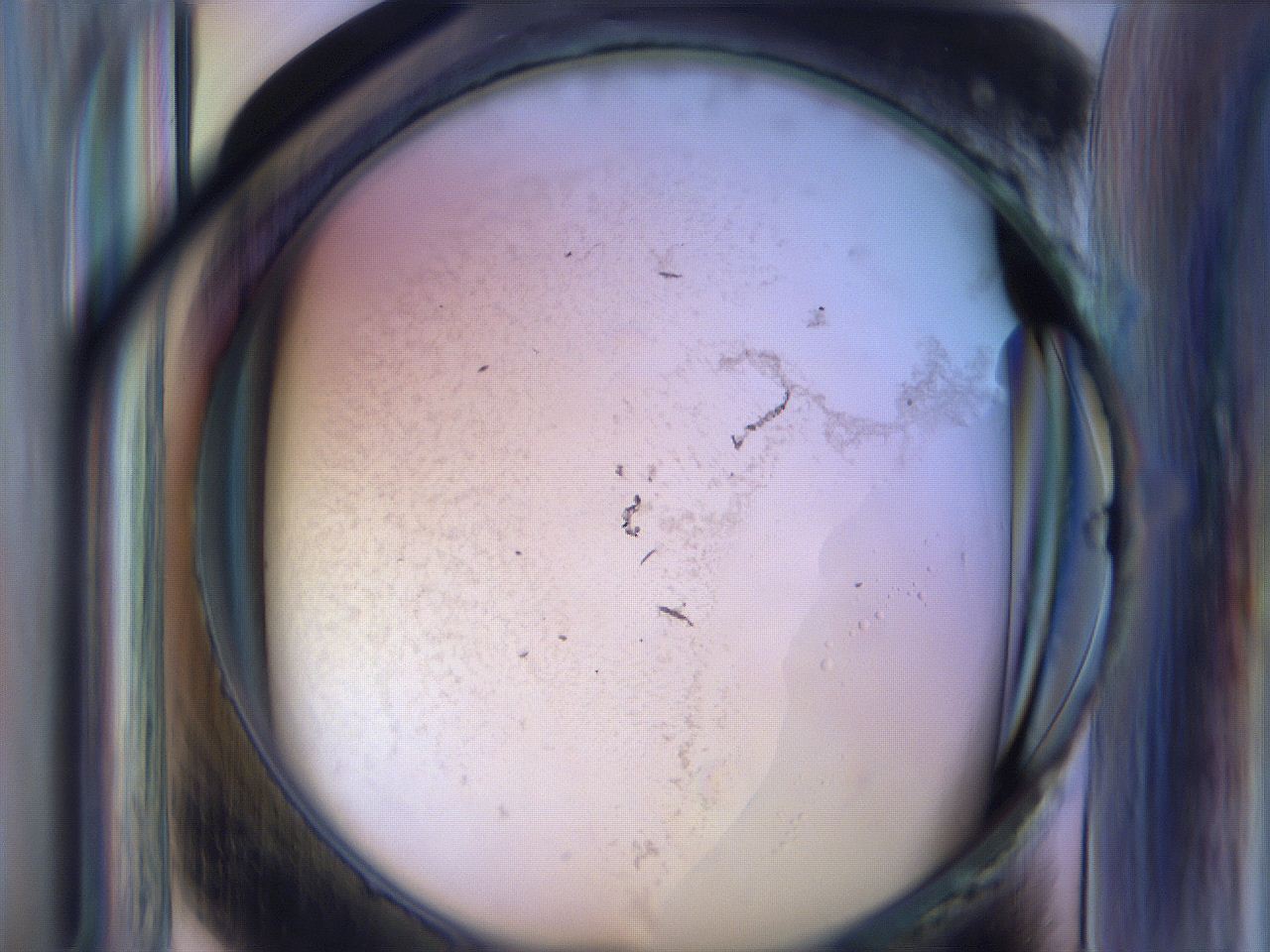 065h_F10_ImagerDefaults_3.jpg