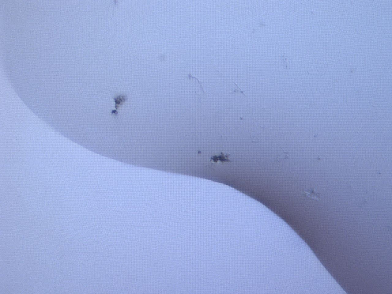 065i_G7_ImagerDefaults_1.jpg