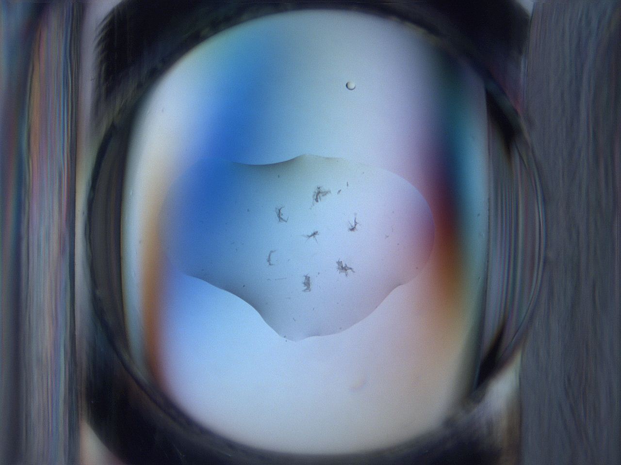 065i_A5_ImagerDefaults_3.jpg