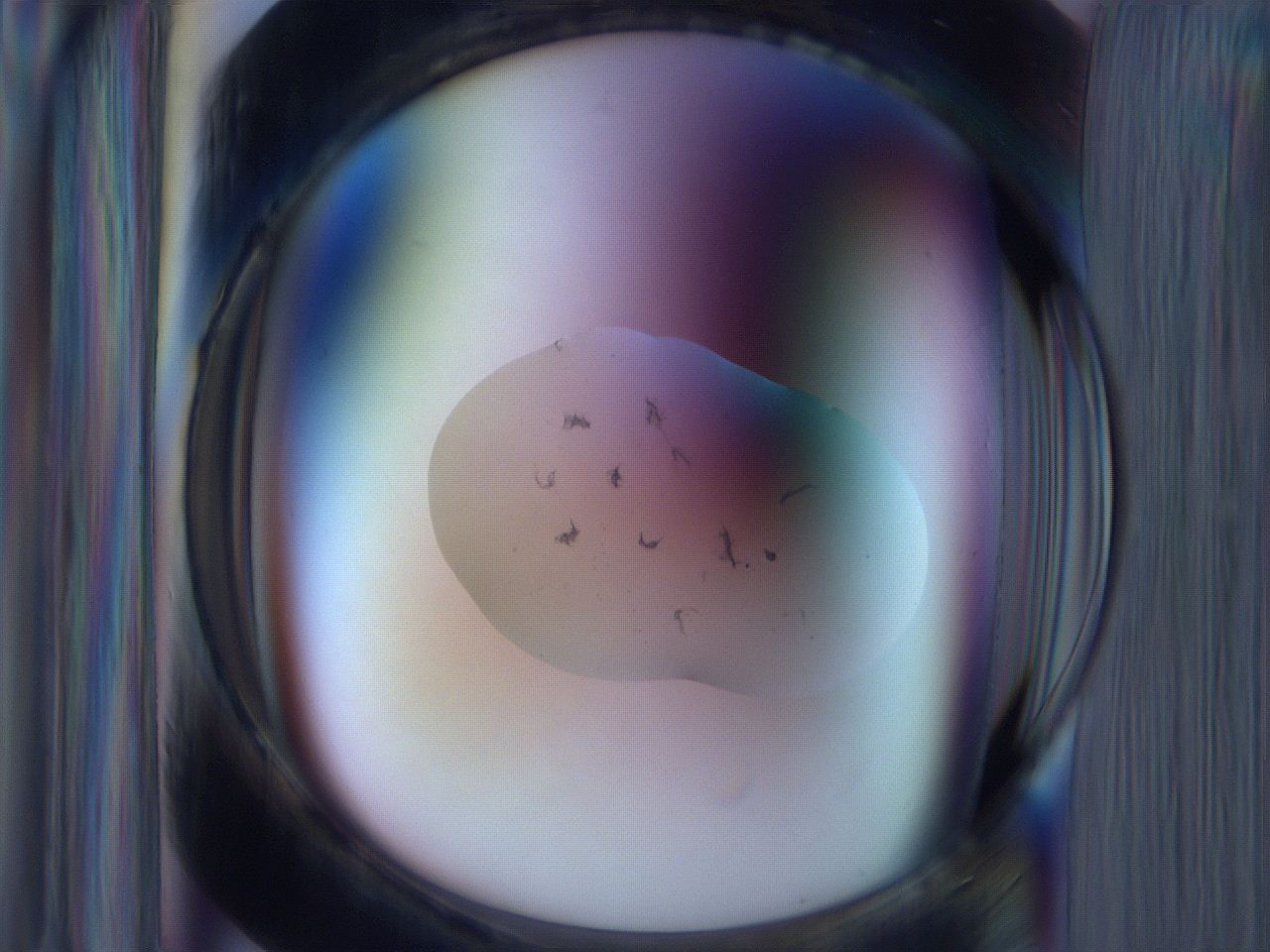 065i_A8_ImagerDefaults_3.jpg