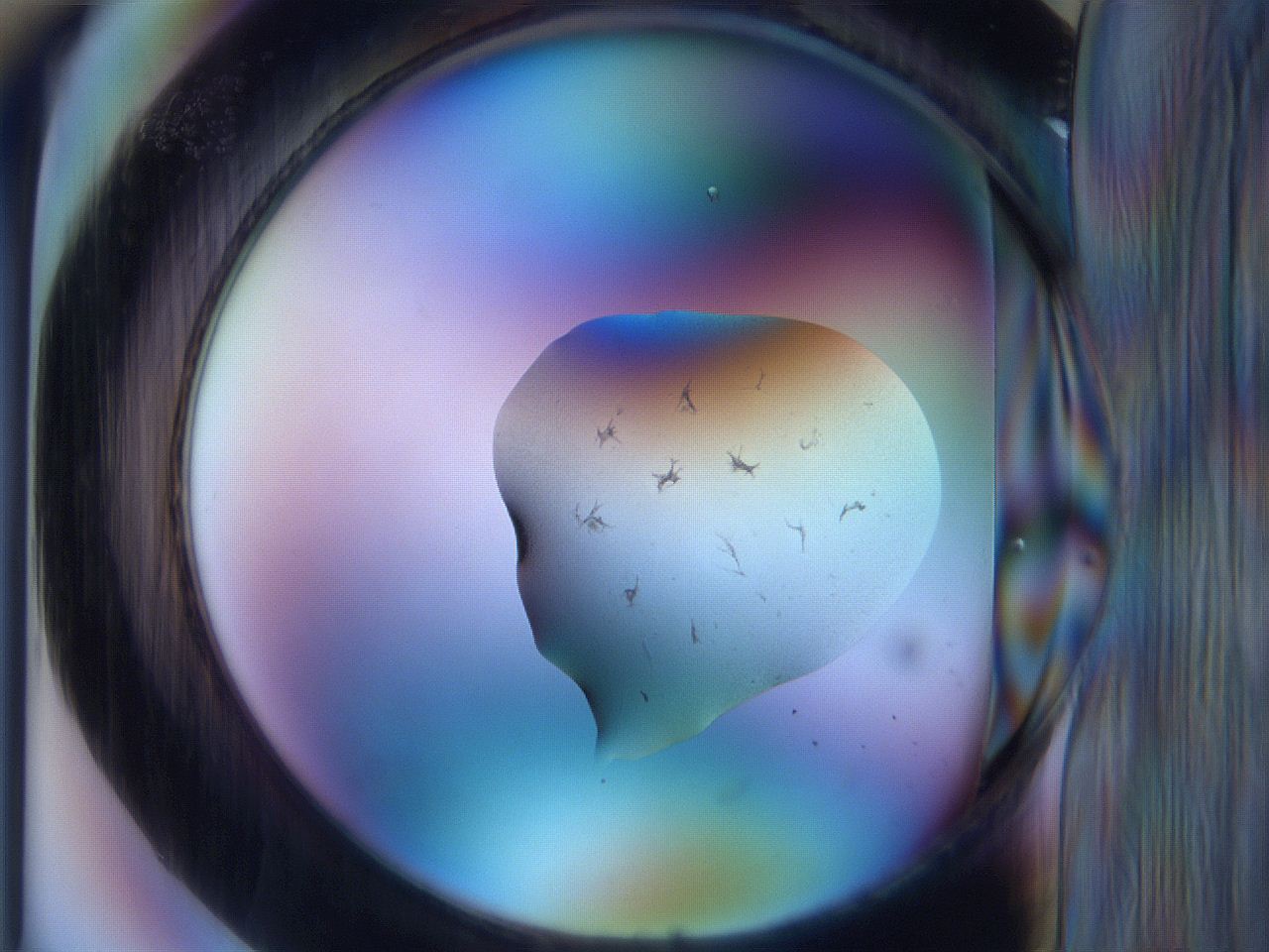 065i_C1_ImagerDefaults_3.jpg