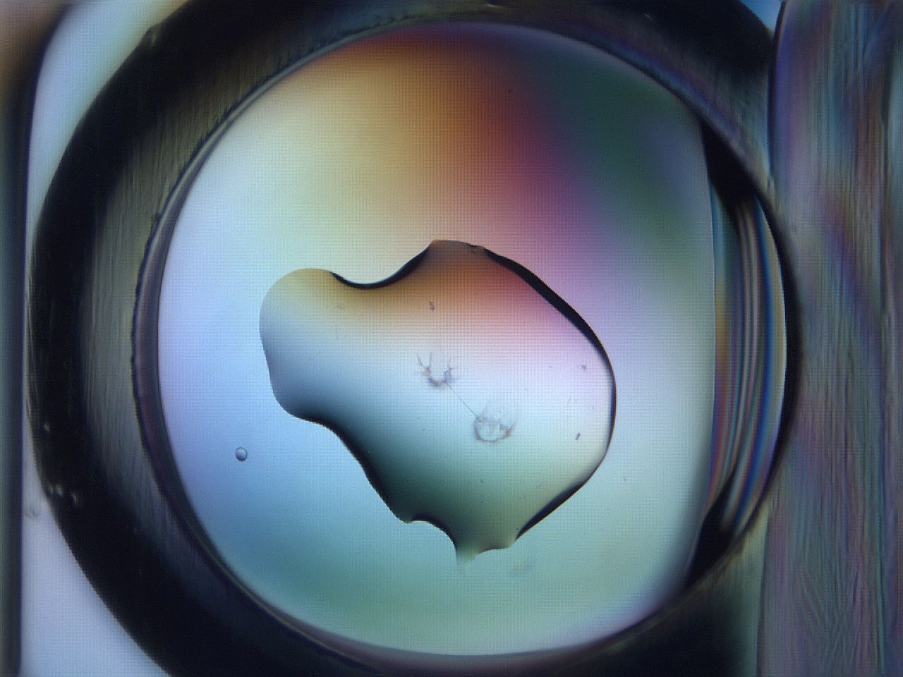 065i_E1_ImagerDefaults_1.jpg