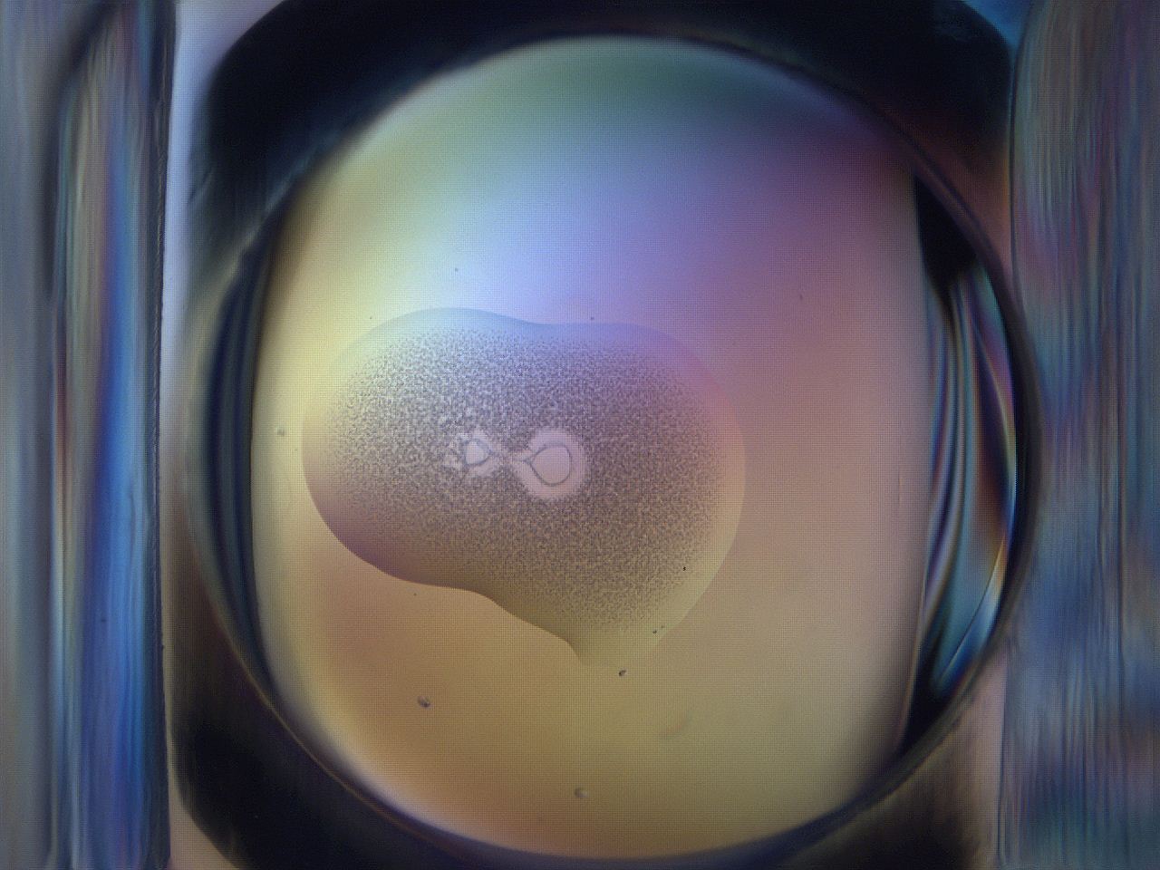 065i_F12_ImagerDefaults_3.jpg