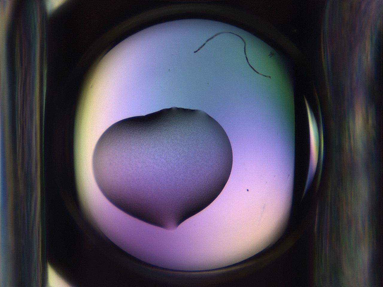 065j_D10_ImagerDefaults_3.jpg