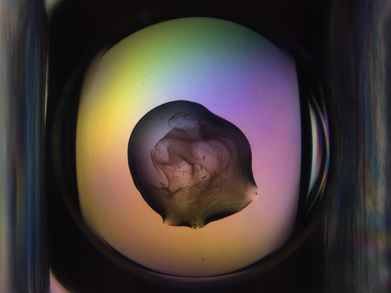 065j_F12_ImagerDefaults_3.jpg