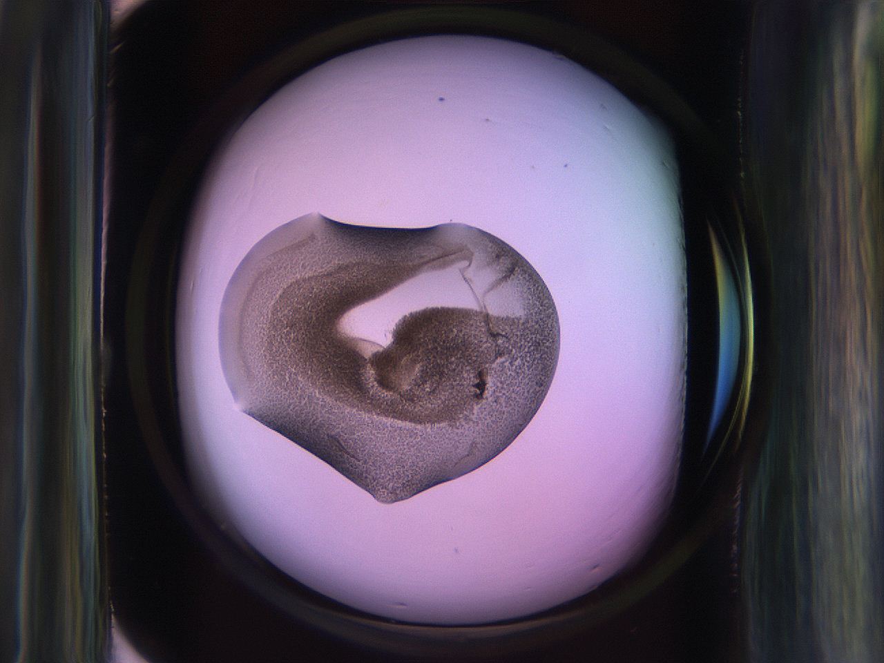 065j_G10_ImagerDefaults_3.jpg