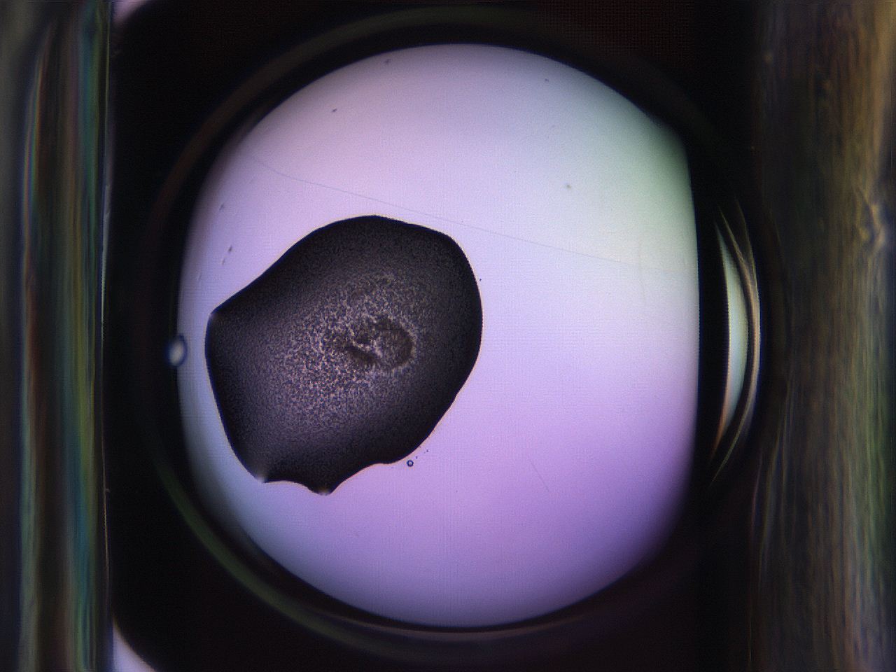 065j_H10_ImagerDefaults_3.jpg