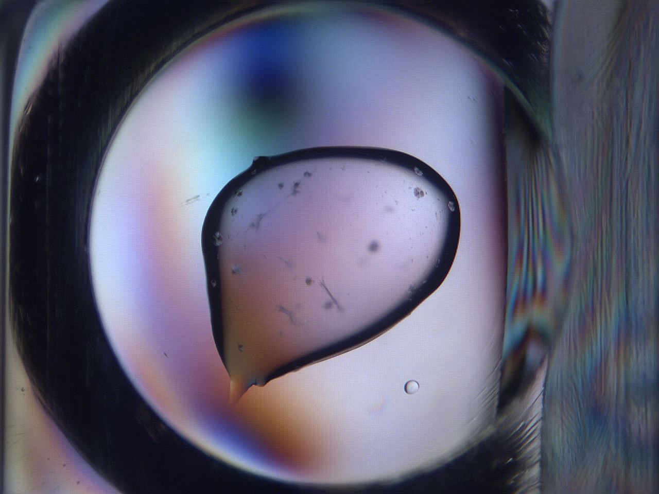 065k_B1_ImagerDefaults_6.jpg