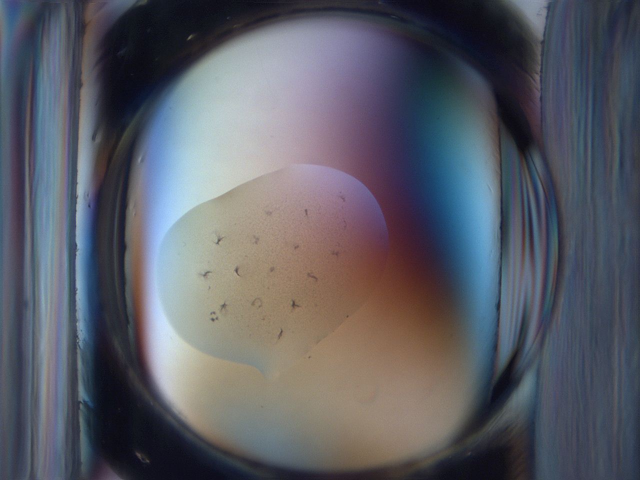 065k_B6_ImagerDefaults_3.jpg