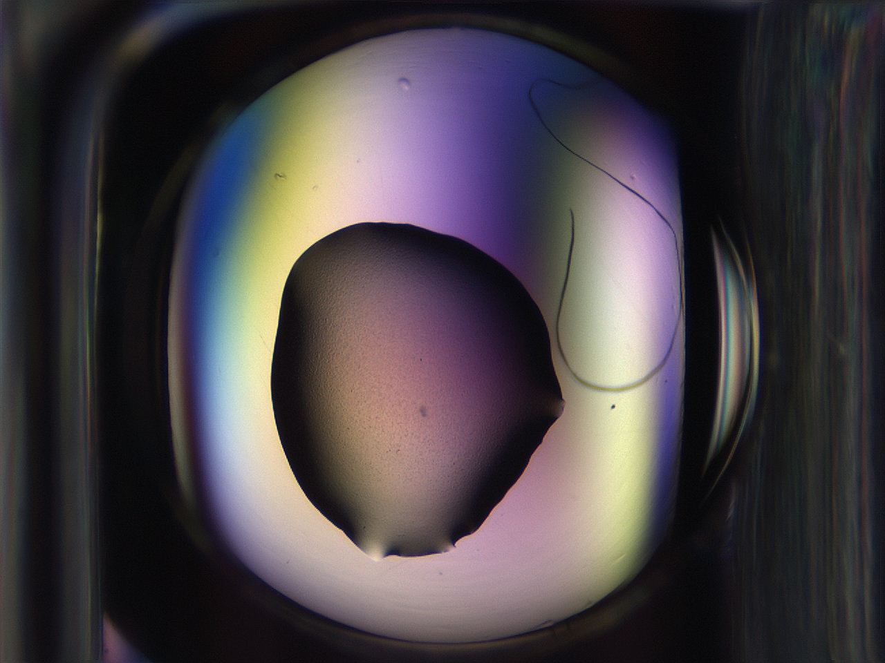065l_A8_ImagerDefaults_3.jpg