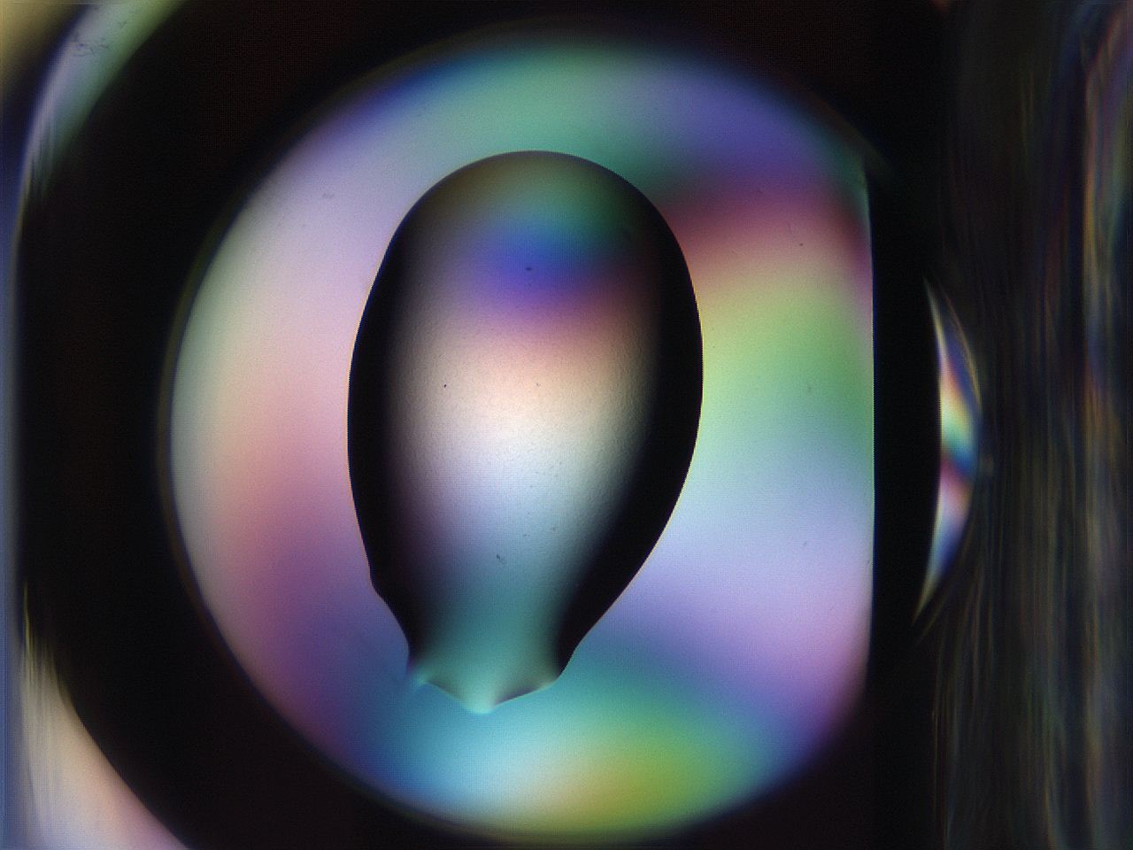 065l_C1_ImagerDefaults_2.jpg