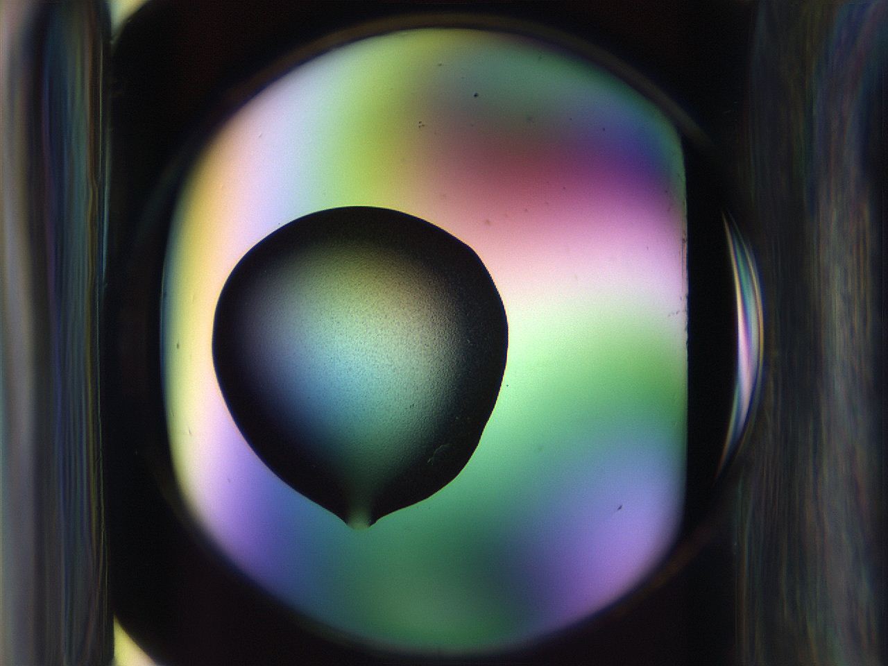 065l_C12_ImagerDefaults_3.jpg