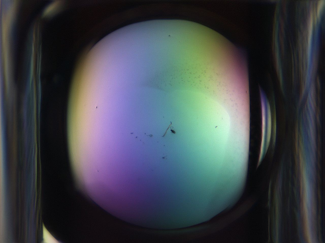 065l_D7_ImagerDefaults_1.jpg